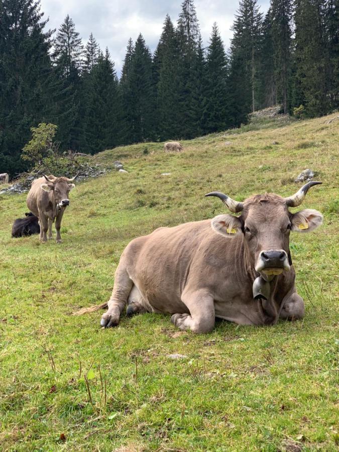 Fewo Gotschna Haus Bargis Klosters Exterior foto
